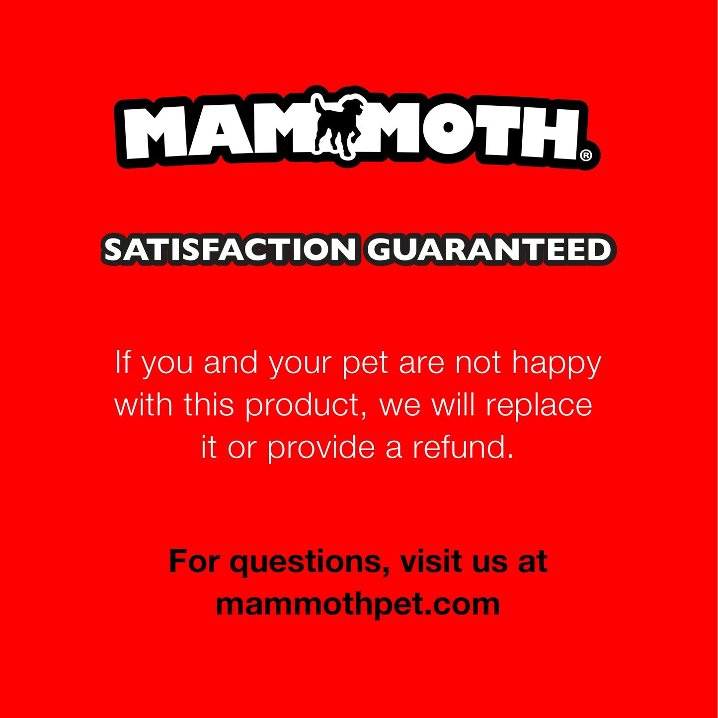 Tirebiter Small 6" Rubber Tire Dog Toy with Rope, Assorted Colors